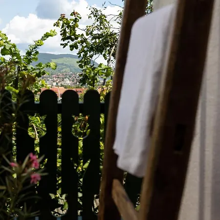 Chillinn Rose Guest house