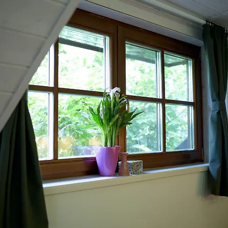 Chillinn Rose Guest house Eger