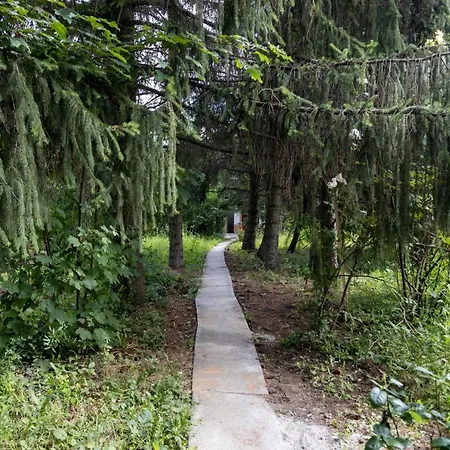 Chillinn Rose 게스트하우스