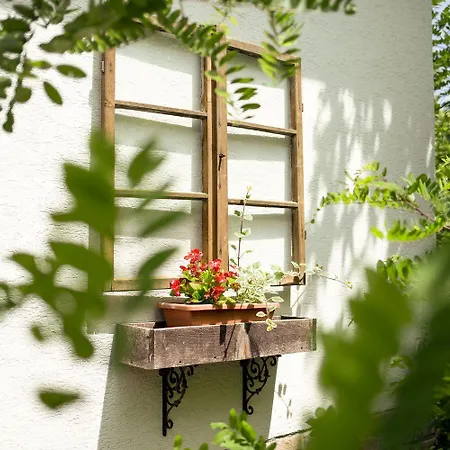 Chillinn Rose * 에게르