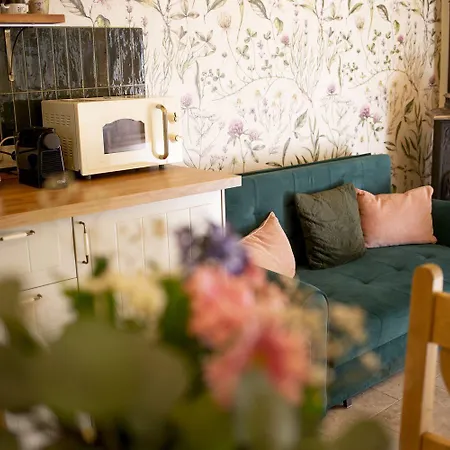 Chillinn Rose 게스트하우스 에게르