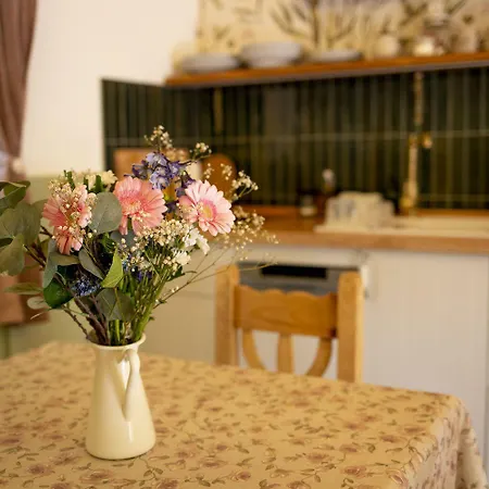 Chillinn Rose 게스트하우스 *