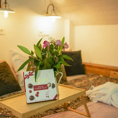 Chillinn Rose * Eger