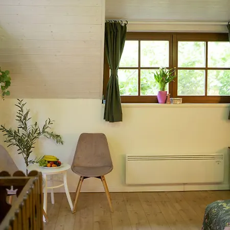 Chillinn Rose 게스트하우스