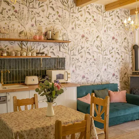 Chillinn Rose 에게르