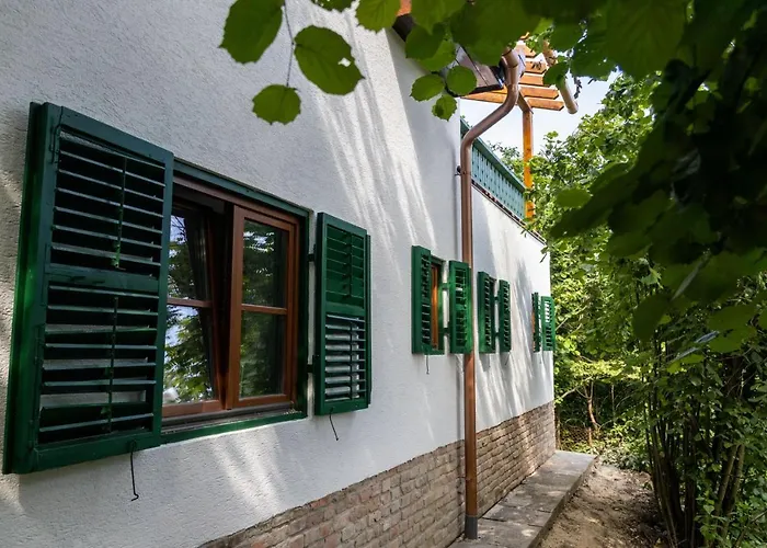 Chillinn Rose Pensjonat *