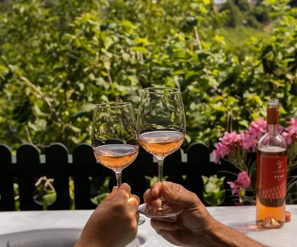 Guest house Chillinn Rose