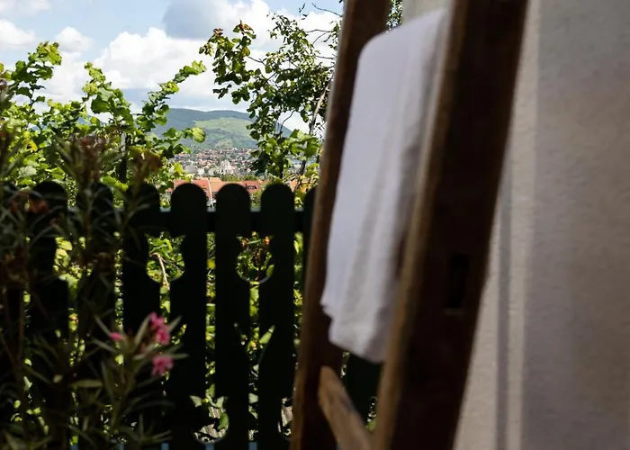 Chillinn Rose Guest house