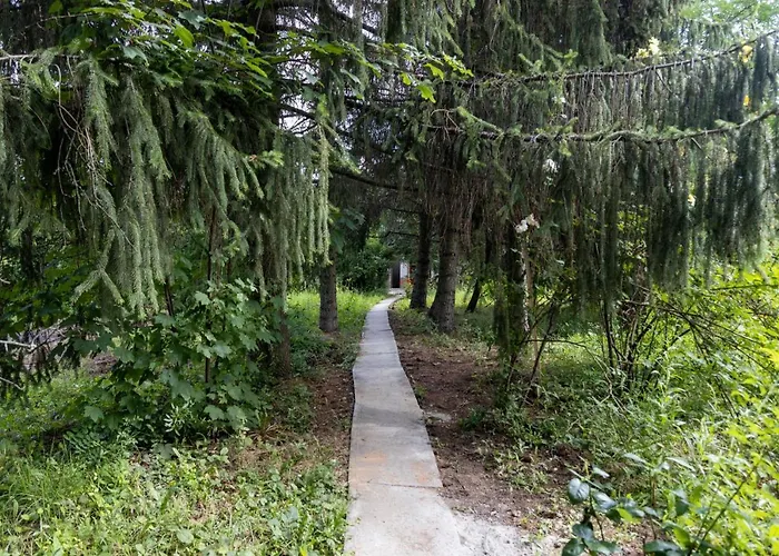 Chillinn Rose Pensjonat