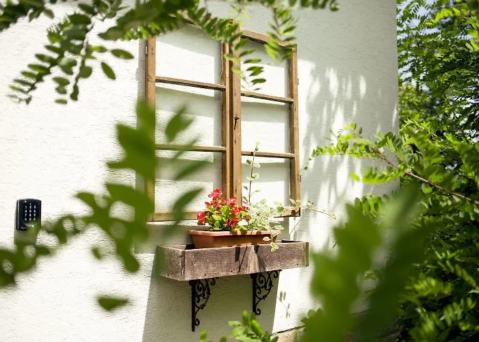 Chillinn Rose * Eger