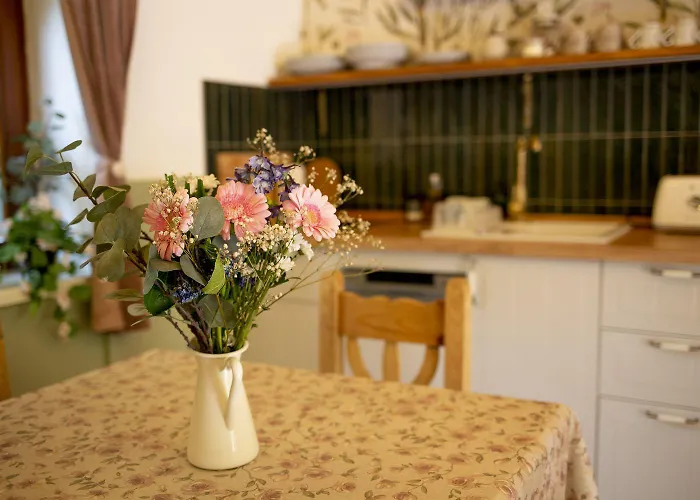 Chillinn Rose Pensjonat *