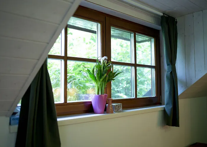 Chillinn Rose Pensjonat Eger