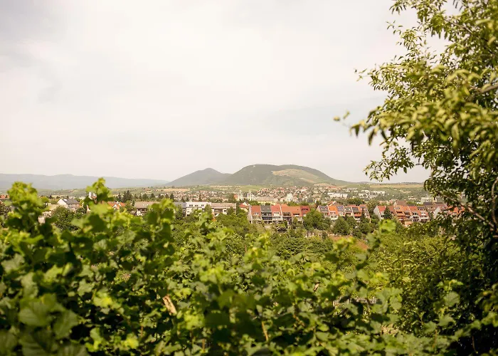 Pensjonat Chillinn Rose Eger